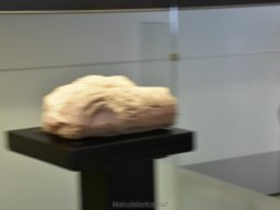 Ciudad de Elche 2022